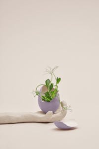A plant growing from an eggshell cradled by a clay hand on a beige background.