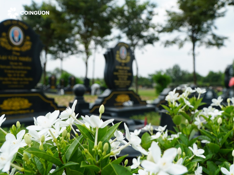 Tại sao phải bốc mộ