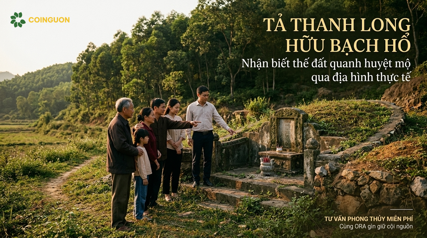 Tả Thanh Long hữu Bạch Hổ: nhận biết thế đất quanh huyệt mộ qua địa hình thực tế - Cội Nguồn ORA
